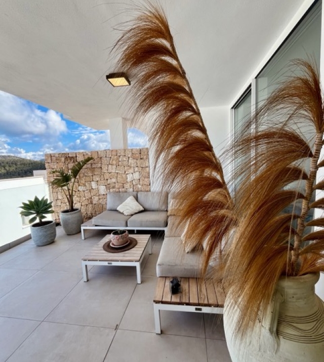 IMG_3421 normaal.jpeg